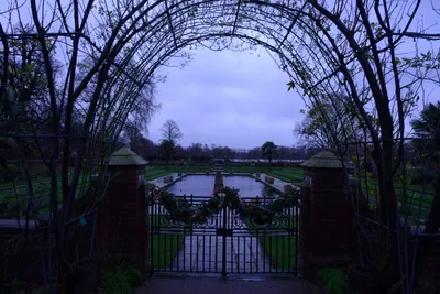 DSC_6188 (Large).JPG